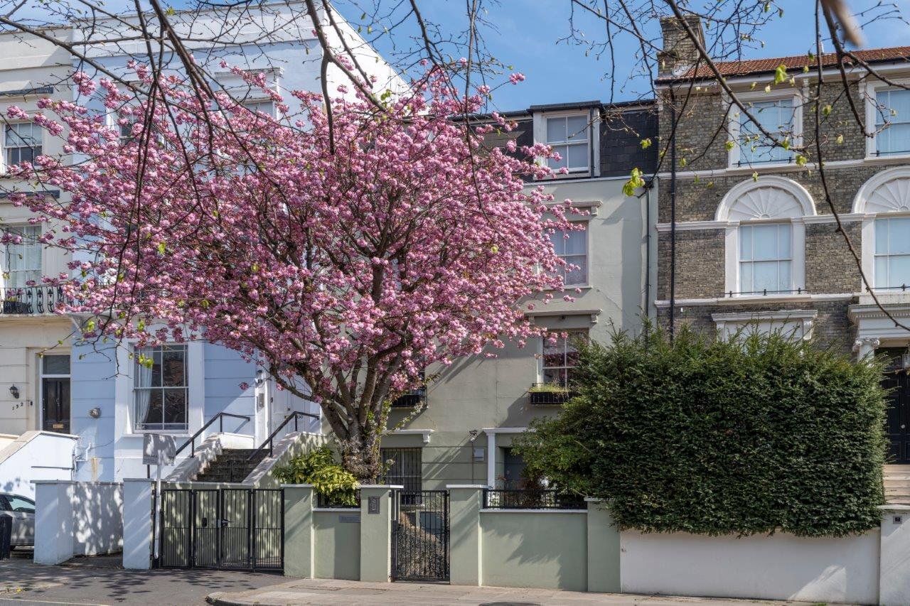 banner_img