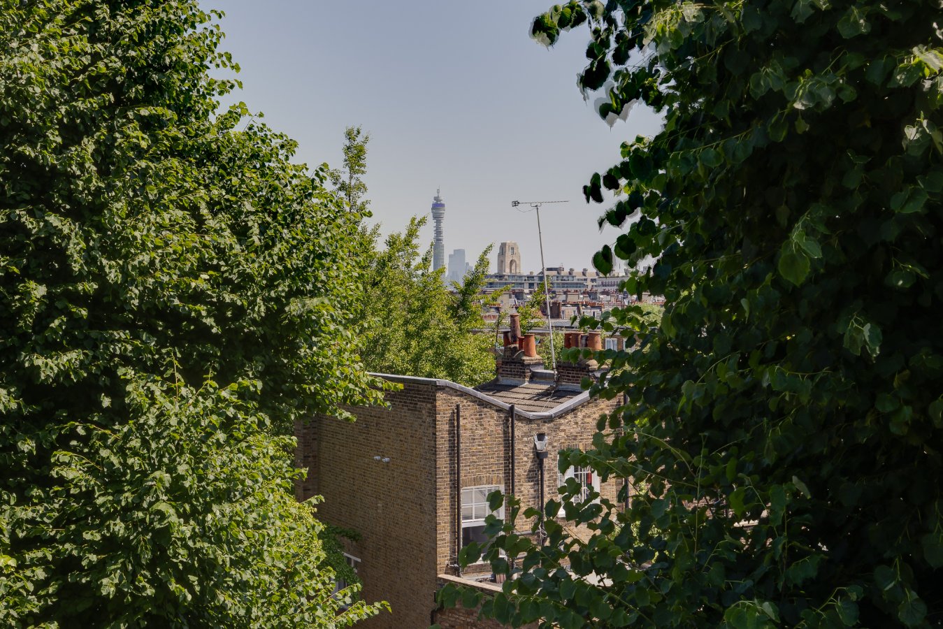 banner_img